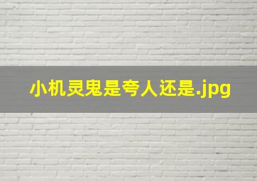 小机灵鬼是夸人还是