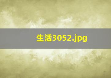 生活3052