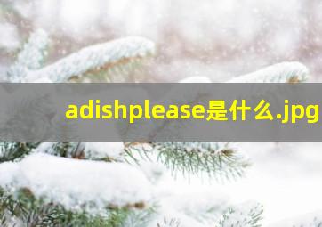 adishplease是什么