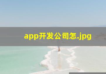 app开发公司怎